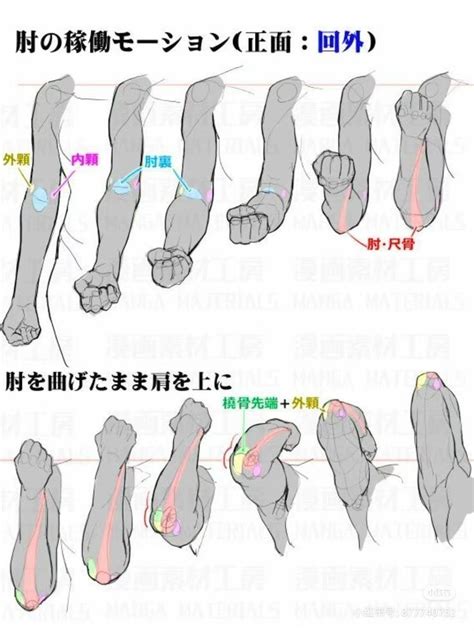 Pin By Cathwulf Q On Bocetos In Art Reference Human Anatomy