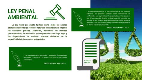 Ley Penal Ambiental Veronica Ramos Pdf