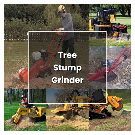 How to Grow Tree Stump Grinder - Plant Care & Tips | NorwichGardener