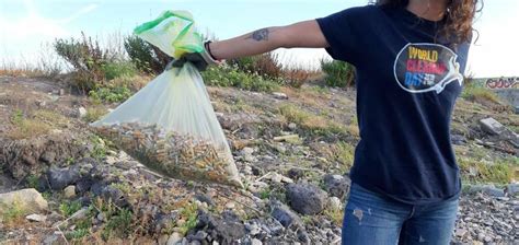 Il 16 Settembre 2023 Si Celebra Il World Cleanup Day Let S Do It Italy