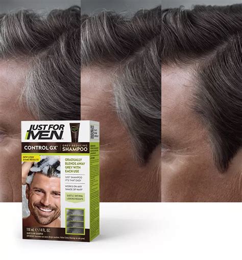 Top 155 How To Achieve Grey Hair Color Polarrunningexpeditions