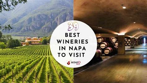 39 Best Wineries In Napa Valley To Visit A Detailed Review Grades