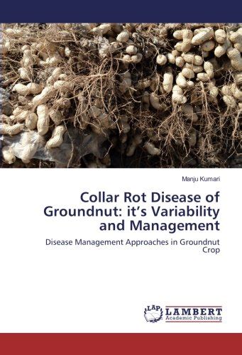 Collar Rot Disease Of Groundnut Its Variability And Management Disease Management Approaches