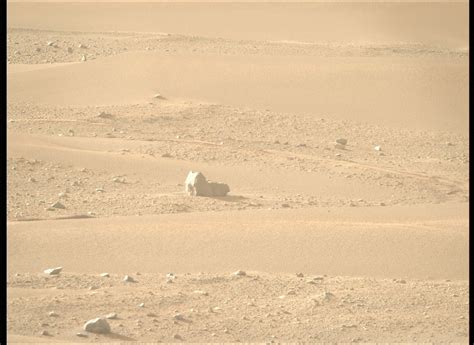 NASA S Image Of The Week Features The Cat Loaf Rock On Mars Captured