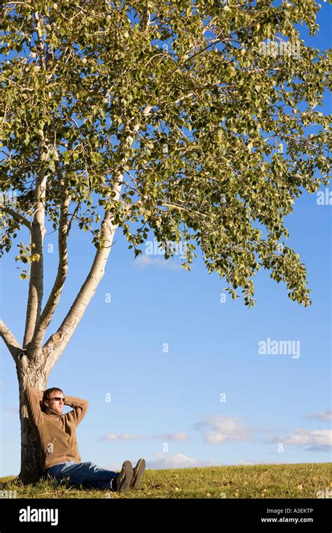 Man Sitting Under Tree Stock Photo Alamy