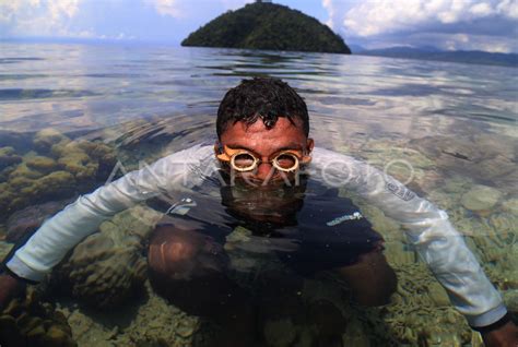 Mencari Ikan Menggunakan Alat Tradisional Di Pulau Bacan Antara Foto