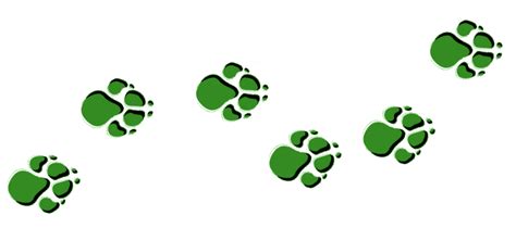 Cub Scout Bear Paw Print Clipart 20 Free Cliparts Download Images On