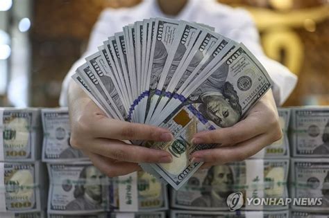 외국 기관 국내 외환시장 상륙30여곳 참여 신청 파이낸셜뉴스