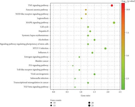 Go And Kegg Pathways Of Differentially Expressed Mrnas A Go Term