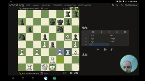 Streamers Fight Global Arena Lichess Org