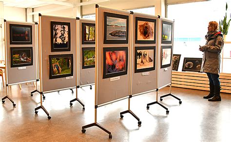 Utst Llning P V Sterviks Stadsbibliotek Ankarsrums Fotoklubb