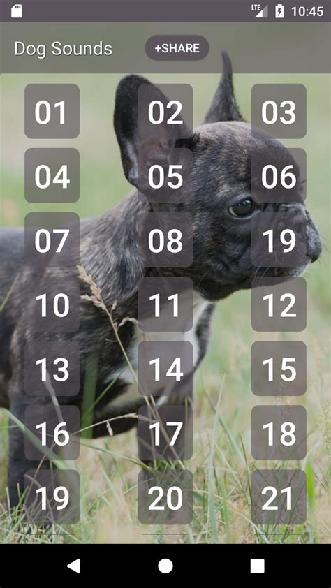 Dog Soundboard APK for Android Download