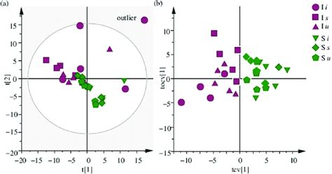 Pca And Opls Da Score Plot A Principal Component Analysis Pca