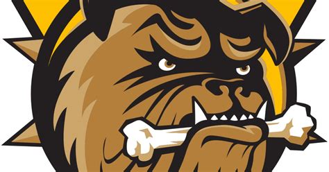 Brantford Bulldogs Goalies In The Nhl Quiz By Thomaspace98