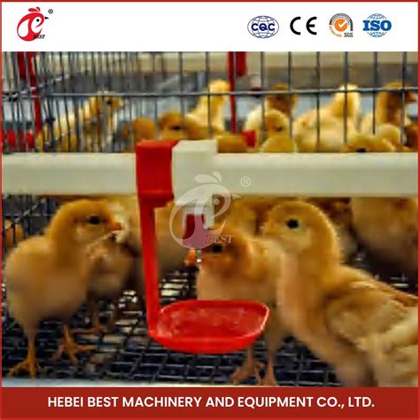 Bestchickencage China Chicken Coop 10 Chickens Supplier A Frame