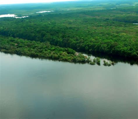 Levantamento aponta que apenas 7 dos rios da Mata Atlântica apresentam