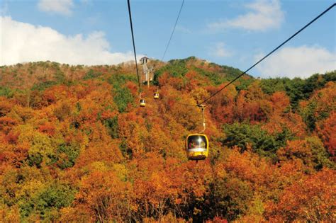 釜山秋日童話～八公山景纜車、韓服變裝體驗、天空膠囊列車、世界文化遺產五日 燦星旅遊startravel