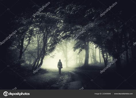 Dark Forest Pathway