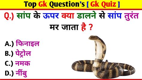 Top Most Important Gk Questions Gk Quiz Video Gkinhindi Gkquestion