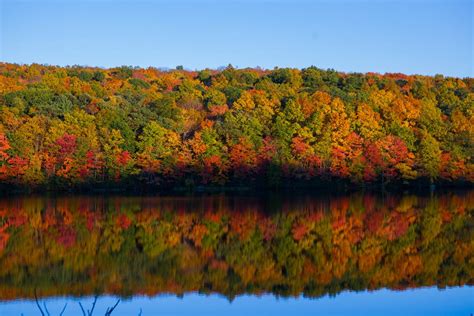 Connecticut Fall Festivals 2015: A Complete Guide | Middletown, CT Patch