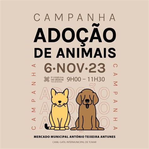 TOMAR Canil gatil promove campanha de adoção de animais em conjunto