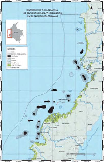 Distribución y concentración de recursos pelágicos medianos en el
