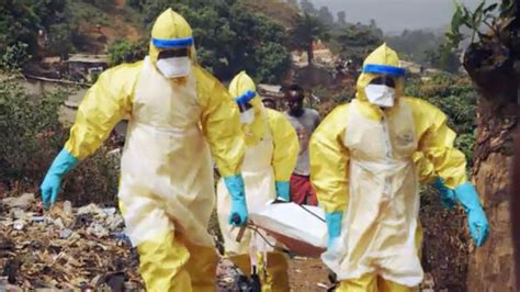 Tracing The Ebola Outbreak Scientists Hunt A Silent Epidemic