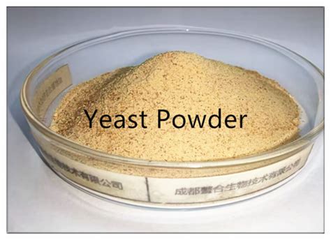 Feed Additive Yeast Powder Inactive Brewers Yeast Protein