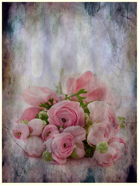 Free illustration: Roses, Bouquet, Congratulations - Free Image on ...