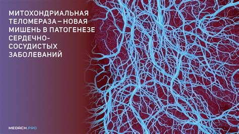 Обратная транскриптаза митохондриальной теломеразы — новая мишень в ...