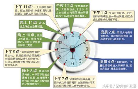 喝酒也按時間？喝酒傷身時刻表 每日頭條