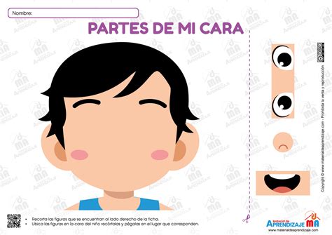 Las Partes De La Cara Ficha Imprimible Para Niños De 4 Años Material De Aprendiazje