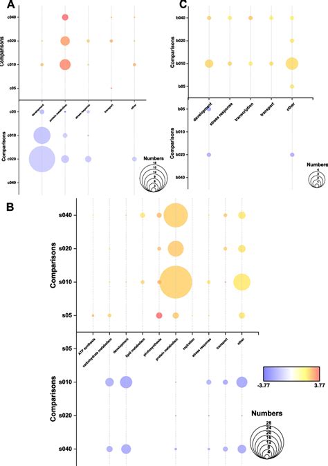 GSEA Results Of Coral Meta Organism Transcriptome Under Different