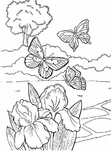 Free Coloring Pages Of Butterflies And Flowers, Download Free Coloring Pages Of Butterflies And ...