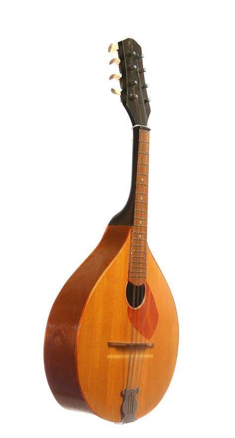 Мандолины, Лютни. Продажа и прокат мандолин и лютней. Комиссионный ...