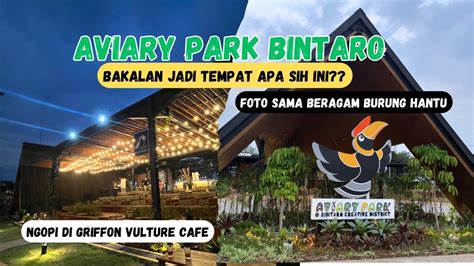 Ada Apa Sih Di Aviary Park Bintaro Ini Sekalian Nyobain Ngopi Di