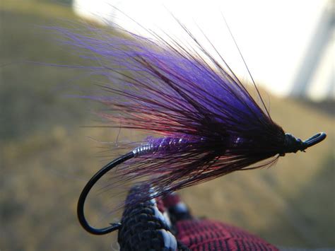 Tying Step by Step - Atlantic Salmon Flies | Fly Tying Bug Forum | Fly fishing flies pattern ...