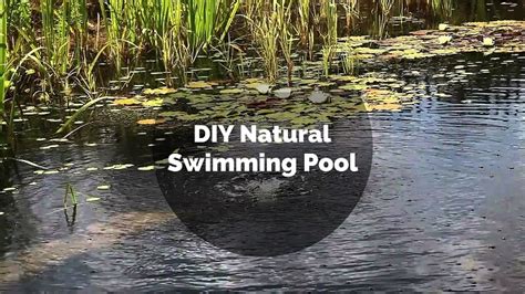 A DIY Swimming Pool - Thehomesteadingboards.com