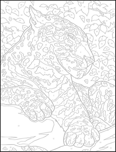 Color By Number Coloring Sheets For Adults