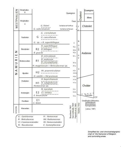 Simplified Bio And Chronostratigraphic Chart Of The Namurian Of Belgium