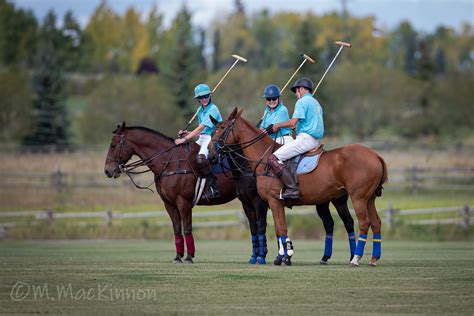 Calgary Polo Club 2019 September 14 Tallhuskymike Flickr