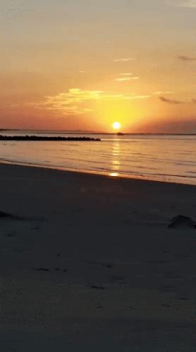 Sunset GIF - Sunset - Discover & Share GIFs