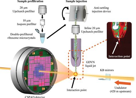 Figure 1 From Structural Biology And Crystallization Communications