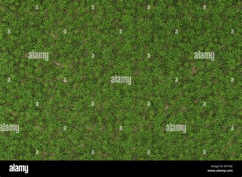 Grass Texture Hi Res Stock Photography And Images Alamy