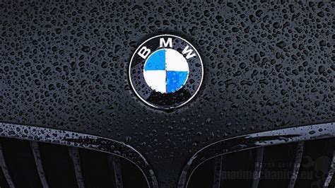 BMW LOGO 4K Wallpapers - Top Free BMW LOGO 4K Backgrounds - WallpaperAccess