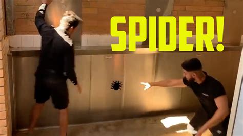 The Big Show - Video of the Day - The Spider Prank