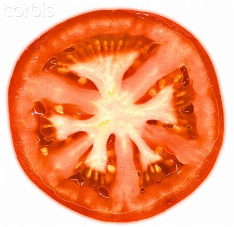 Download High Quality tomato clipart slice Transparent PNG Images - Art Prim clip arts 2019