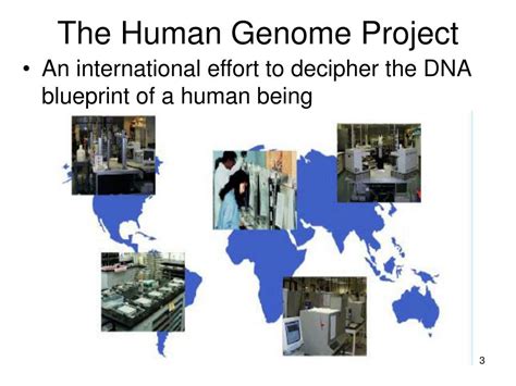 Ppt Human Genome Project Gene Therapy And Cloning Powerpoint