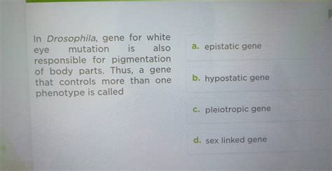 In Drosophila Gene For White Eye Mutation Is Also Responsible For Pigmen