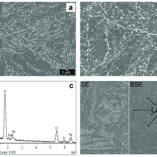 Microstructural Characterization Of The T Base Material Bm Region